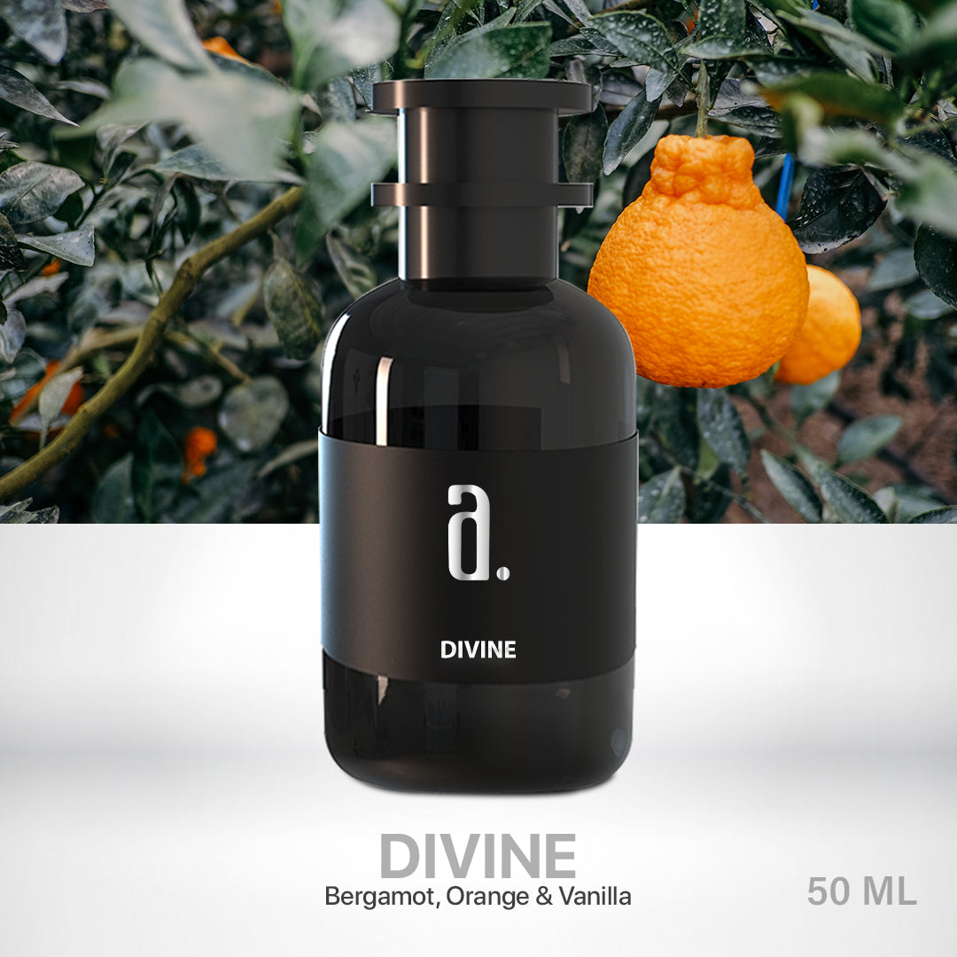 Divine Perfume for men 2025