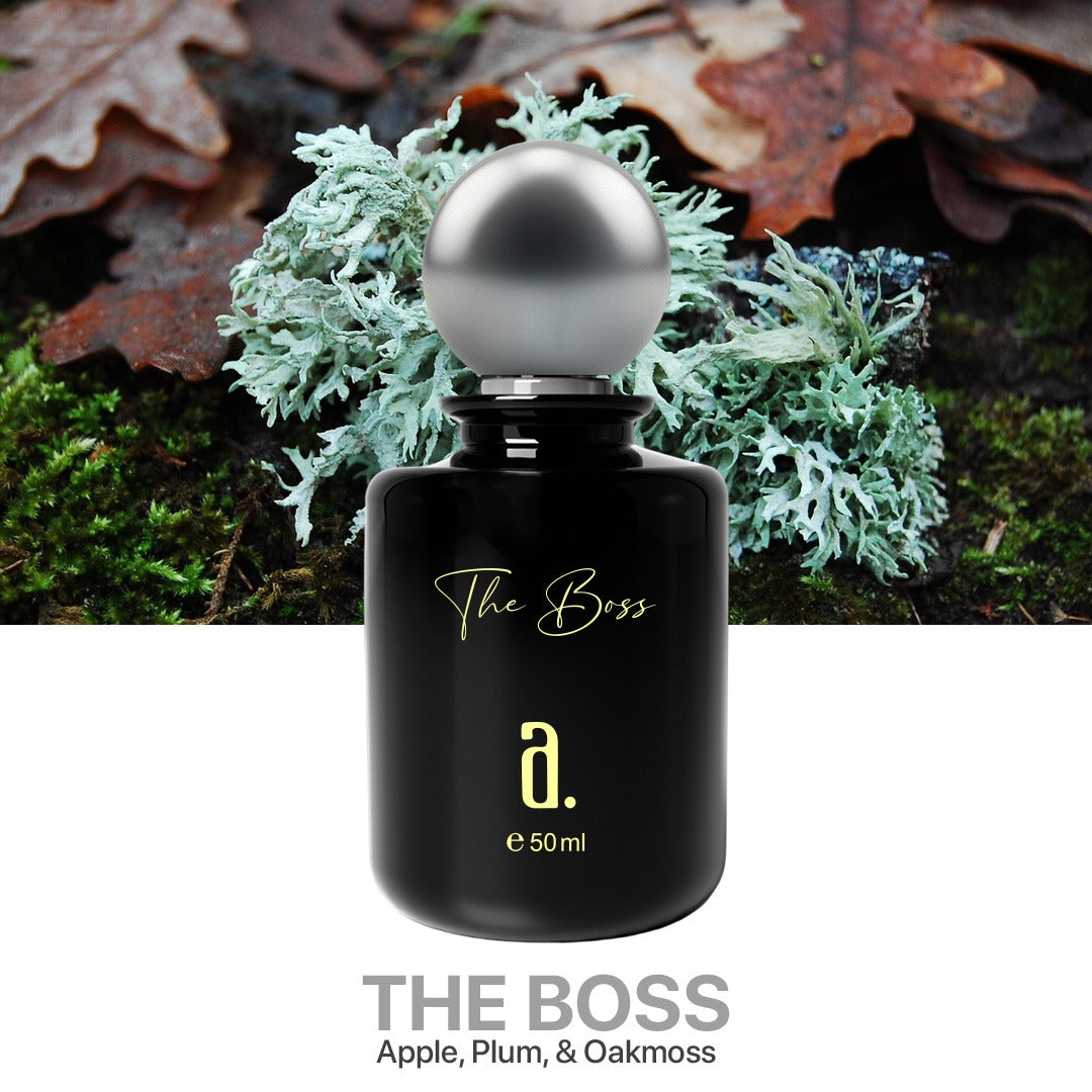 THE BOSS - INSPIRED BY HUGO BOSS (MEN)