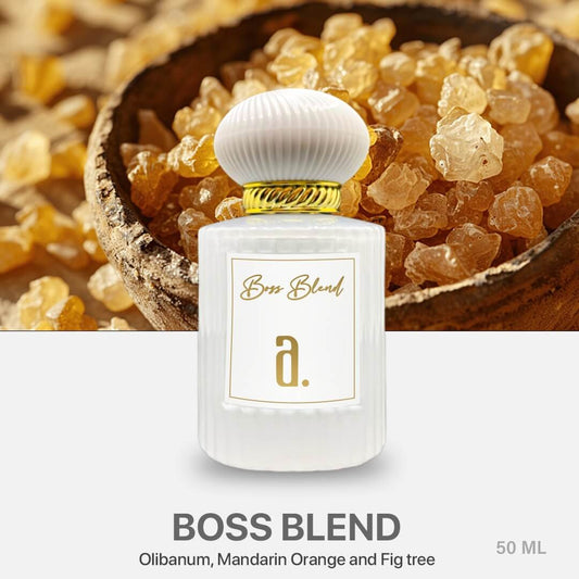 BOSS BLEND perfume for men 2025