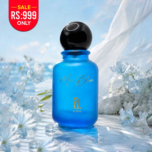 MR BLUE - INSPIRED BY BLEU DE CHANNEL - 30ML